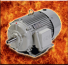 Electric Motor Specials (0)